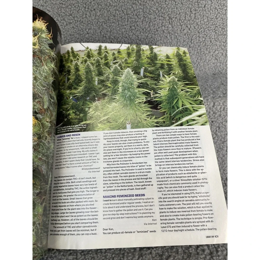 High Times‎ January 2009 Issue# 396 James Franco Stoner